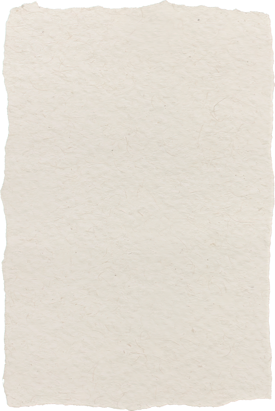 torn paper